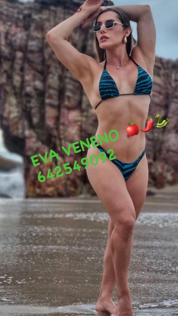 Transexual en Navarra: 