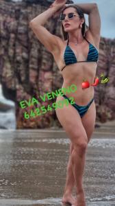 642549092: Transexual en Navarra