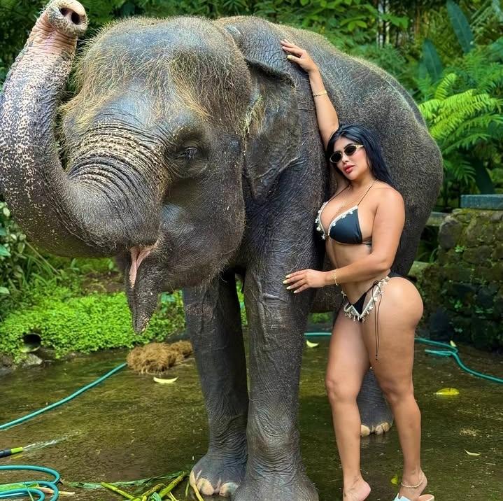 637103542: Chica busca chico en Guipúzcoa