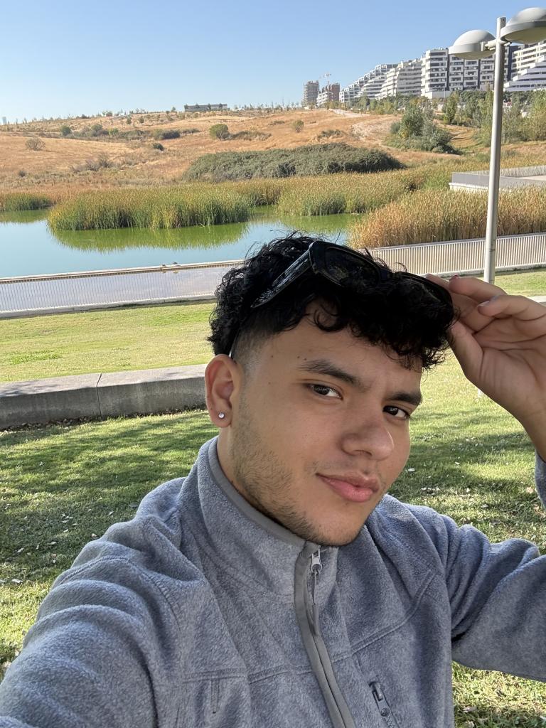 Chico busca chica en Madrid: 