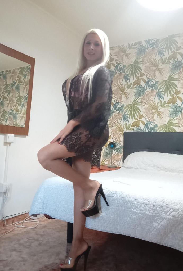Transexual en Alicante: 