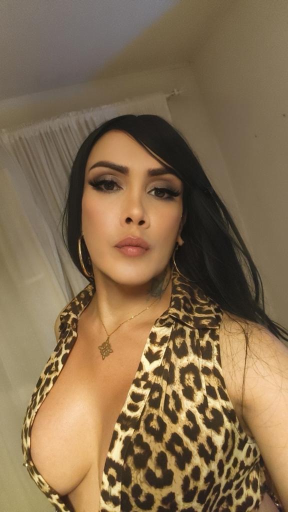 Travesti en Navarra: 