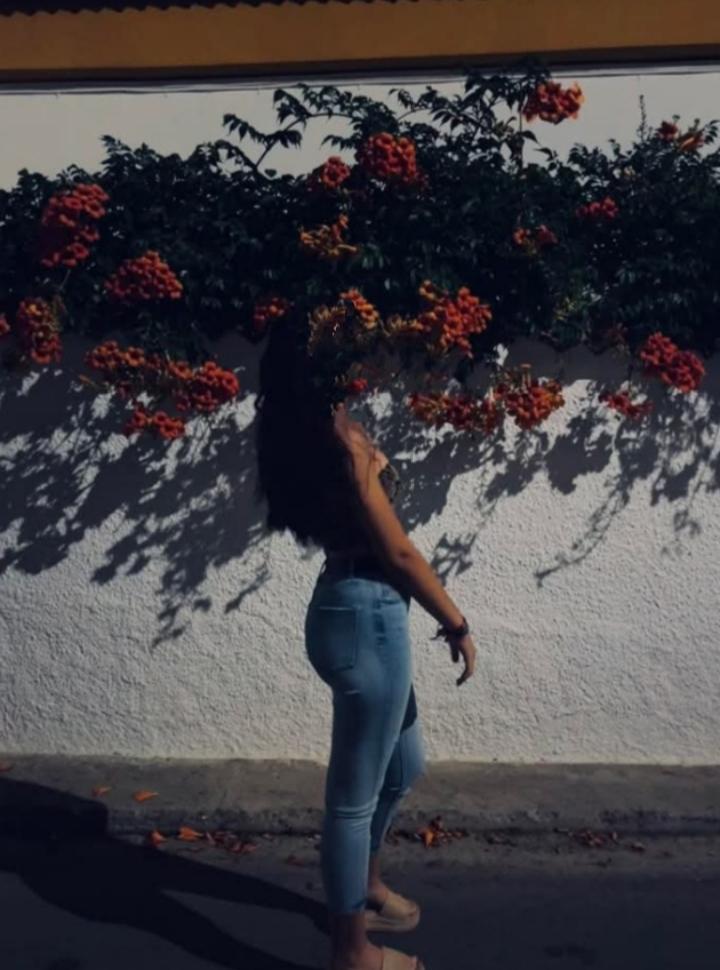Chica busca chico en Álava: 