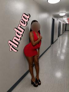 666831778: Chica busca chico en Alicante