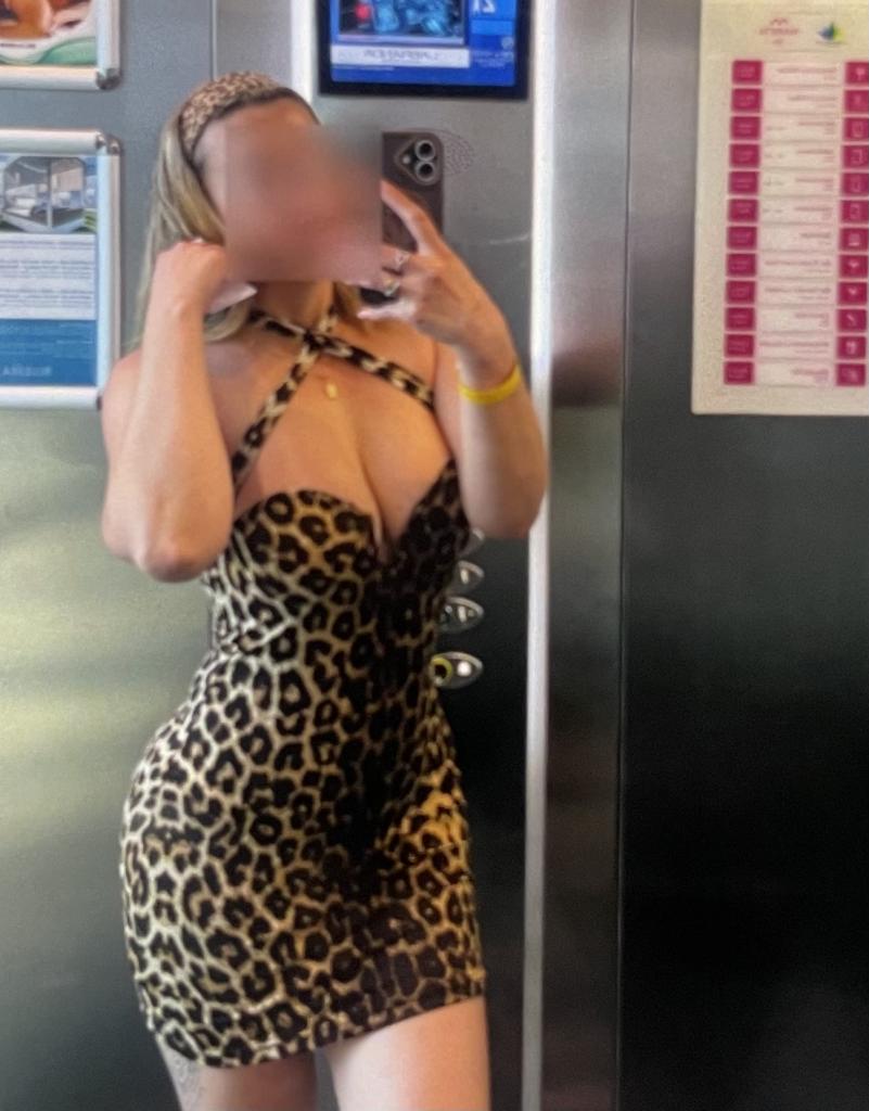 Chica busca chico en Ávila: 