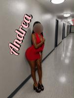 666831778: Chica busca chico en Alicante