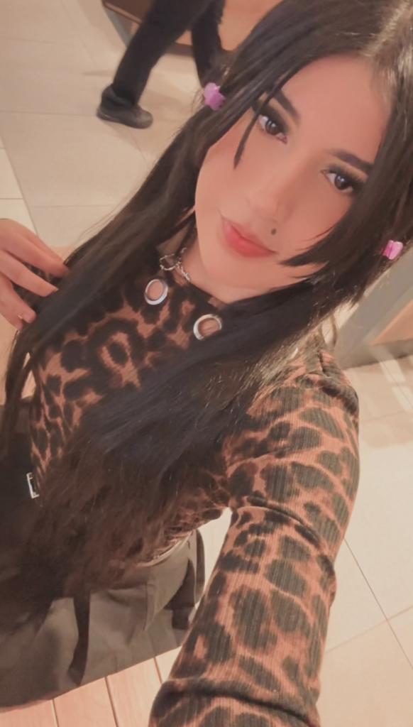 Transexual en Guipúzcoa: 