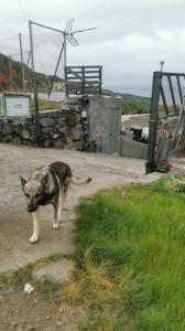 634364084: Chica busca chico en Tenerife