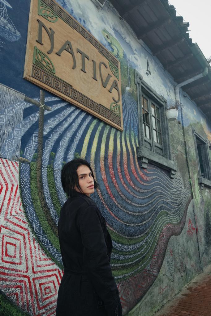 Chico busca chica en Asturias: 