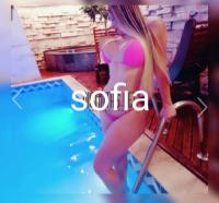 627132720: Travesti en Palencia