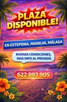 622893905: Chica busca chico en Málaga