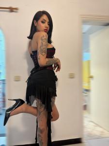 Travesti en Alicante: 