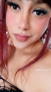 Transexual en Vizcaya: 