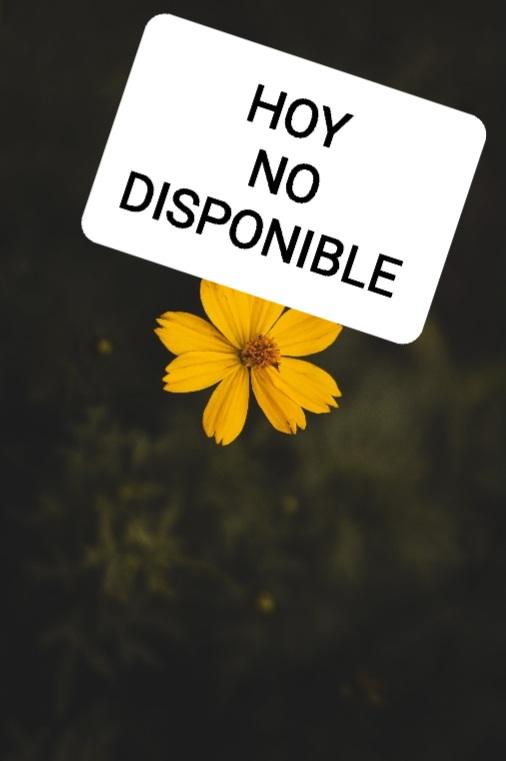 Chica busca chico en Palencia: Chica busca chico