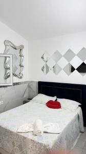 634265953: Chica busca chico en Las Palmas