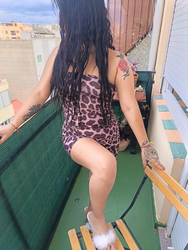 Chica busca chico en Alicante: 