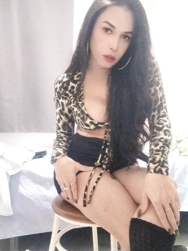 Transexual en Toledo: Transexuales y Travestis