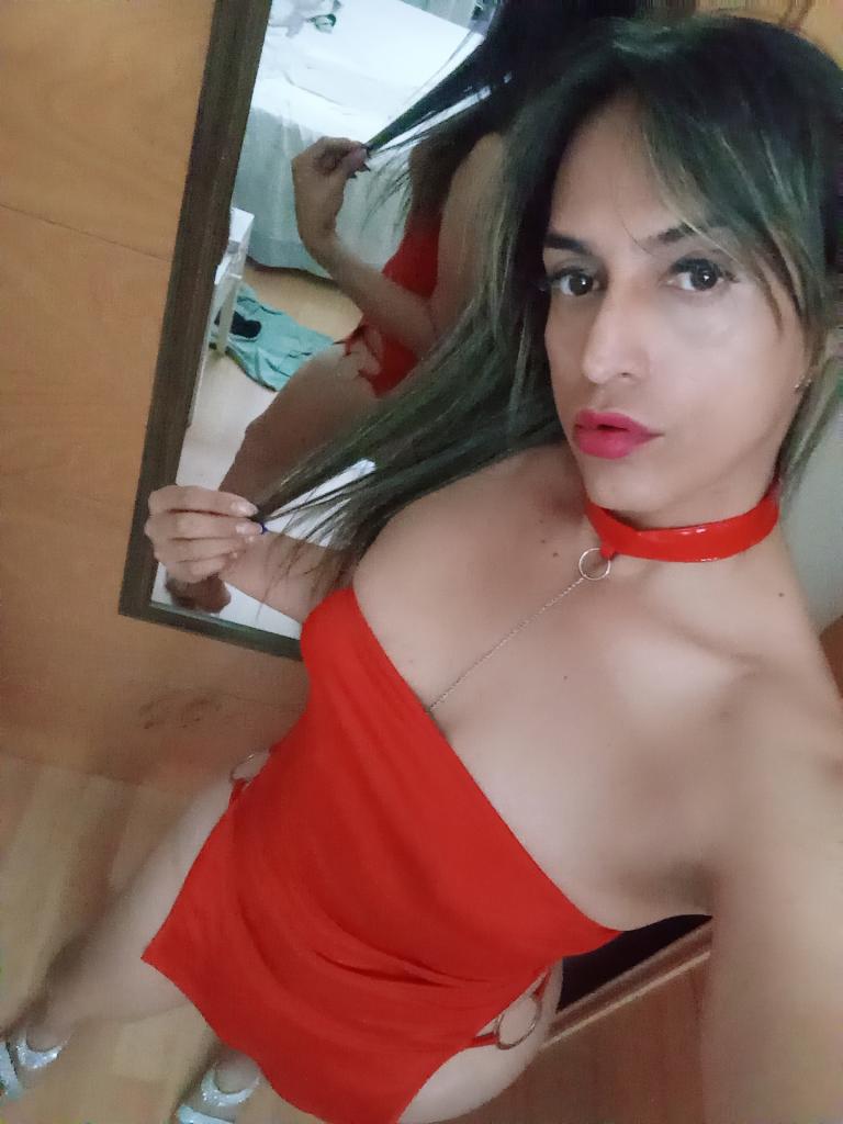 Transexual en Málaga: Transexuales y Travestis