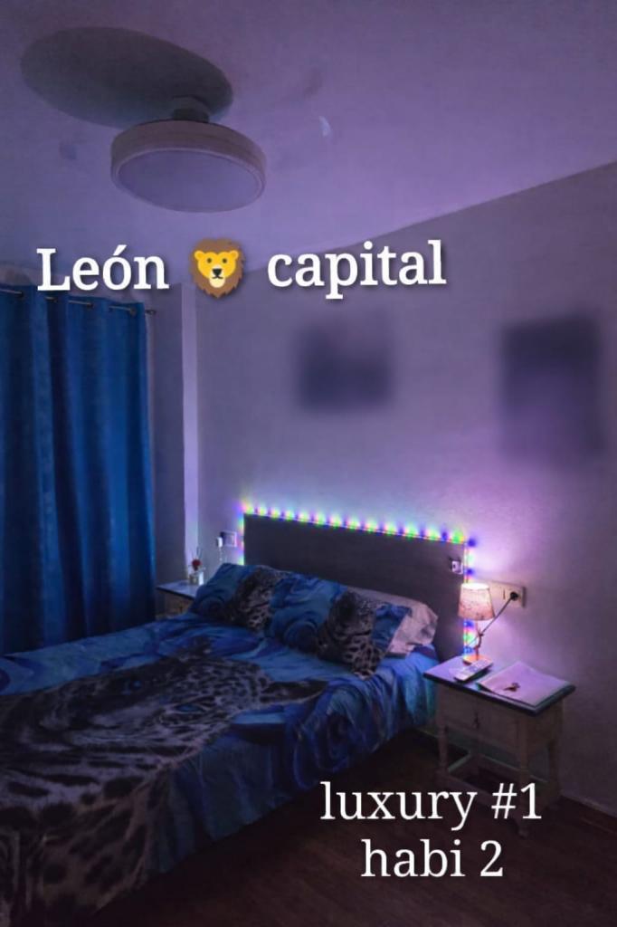 Chica busca chico en León: 