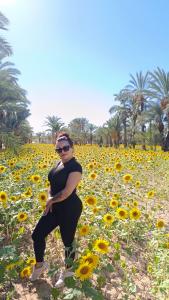 663972457: Chica busca chico en Alicante