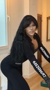 611201697: Transexual en Navarra