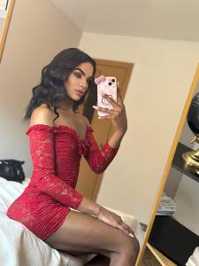 Travesti en Alicante: 
