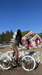 Chica busca chico en Ibiza: 