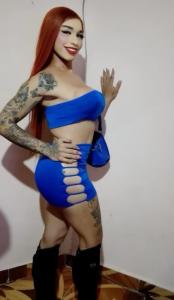 673487649: Travesti en Alicante