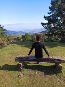 Travesti en Cantabria: 