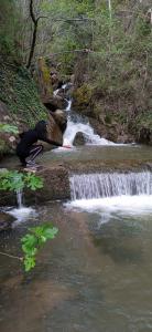 Travesti en Cantabria: 