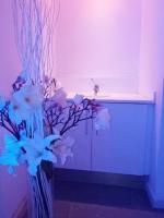 613688573: Chica busca chico en Mallorca