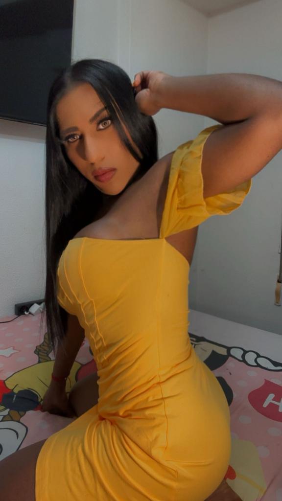 Travesti en Palencia: Transexuales y Travestis