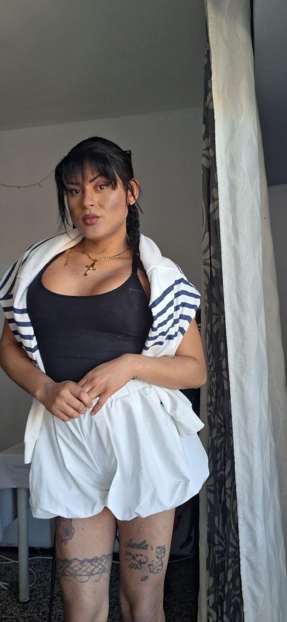 Transexual en Alicante: 