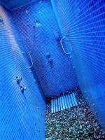 614662413: Chica busca chico en Valencia