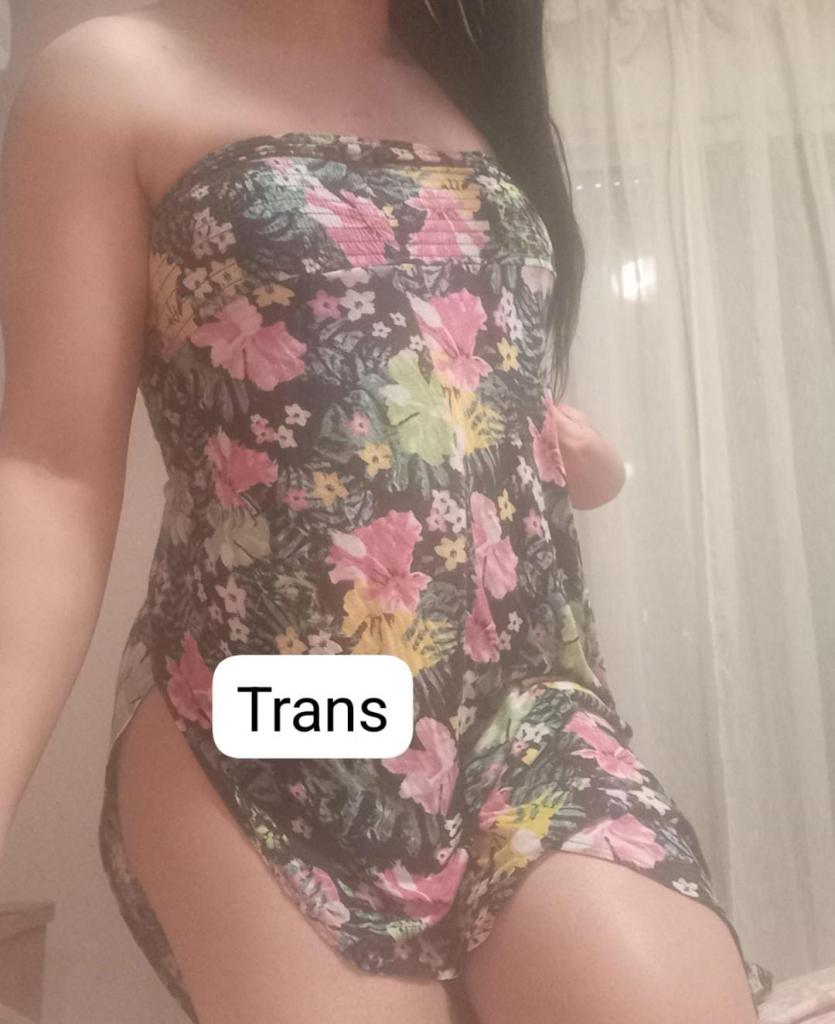 Travesti en Ciudad Real: 