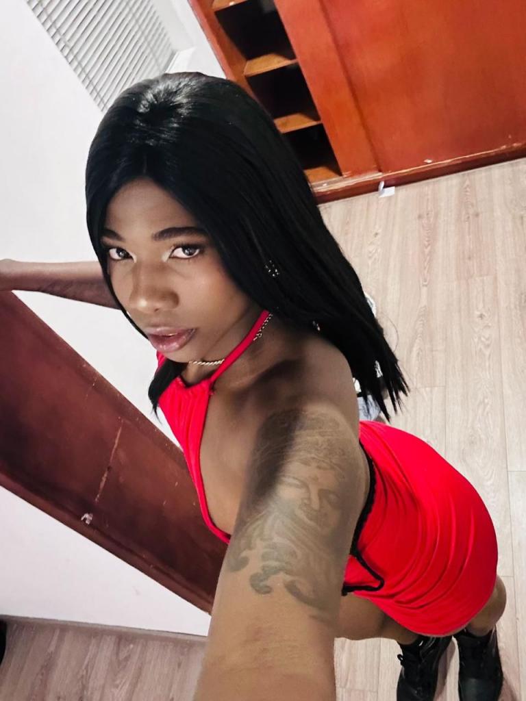 Travesti en Valencia: 