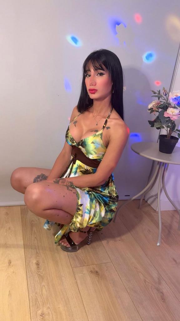 Travesti en Madrid: Transexuales y Travestis