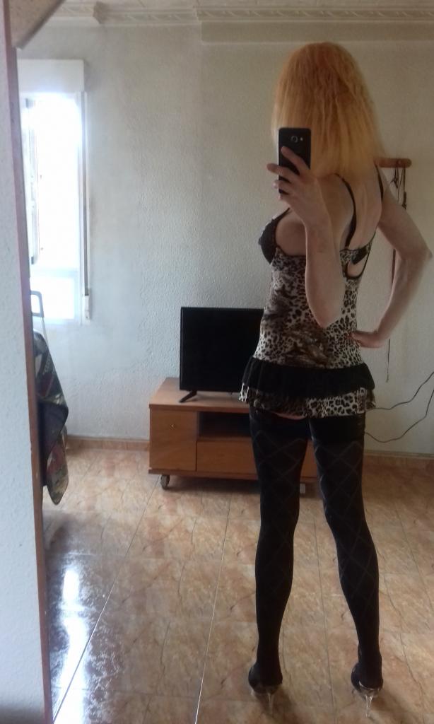 Travesti en Alicante: 