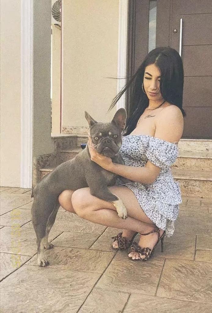 Chica busca chico en Alicante: 