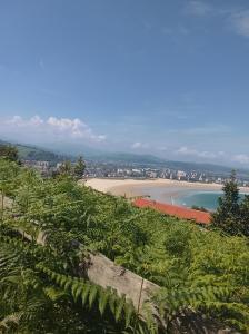 604230421: Chica busca chico en Cantabria