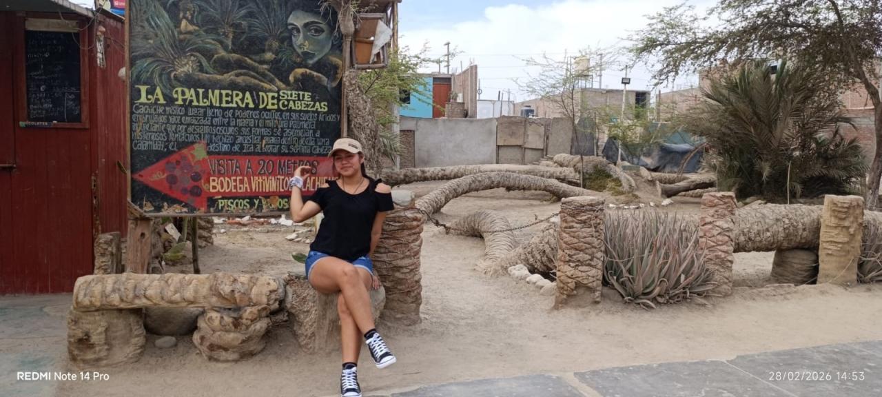 Chica busca chico en Álava: 
