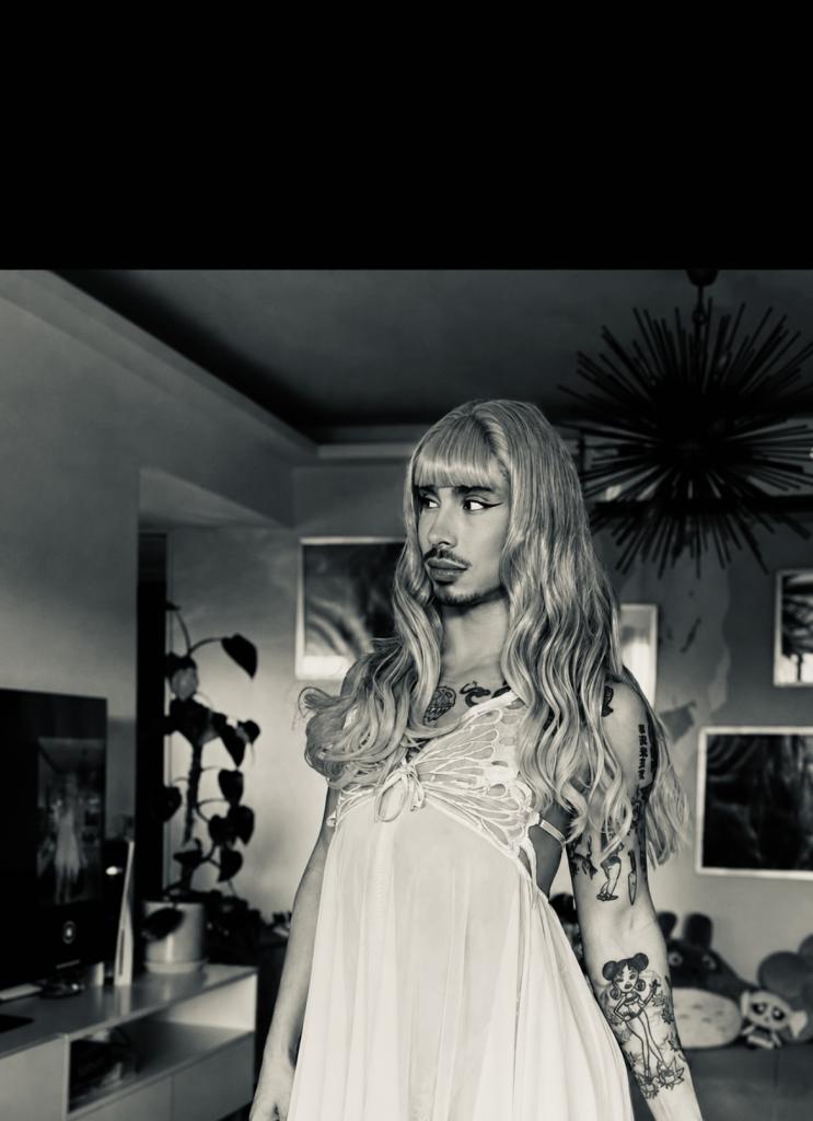 Travesti en Navarra: 
