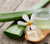 674107608: Chica busca chico en Alicante