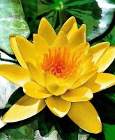 672163252: Chica busca chico en Tenerife