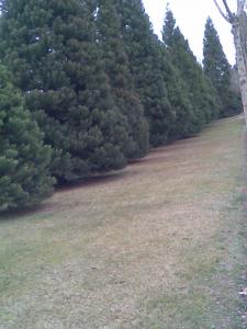 605391353: Chica busca chico en Guadalajara