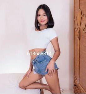 Travesti en Burgos: Transexuales y Travestis