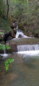 646835525: Transexual en Cantabria