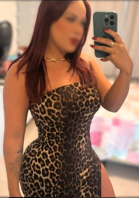 Chica busca chico en Guipúzcoa: 