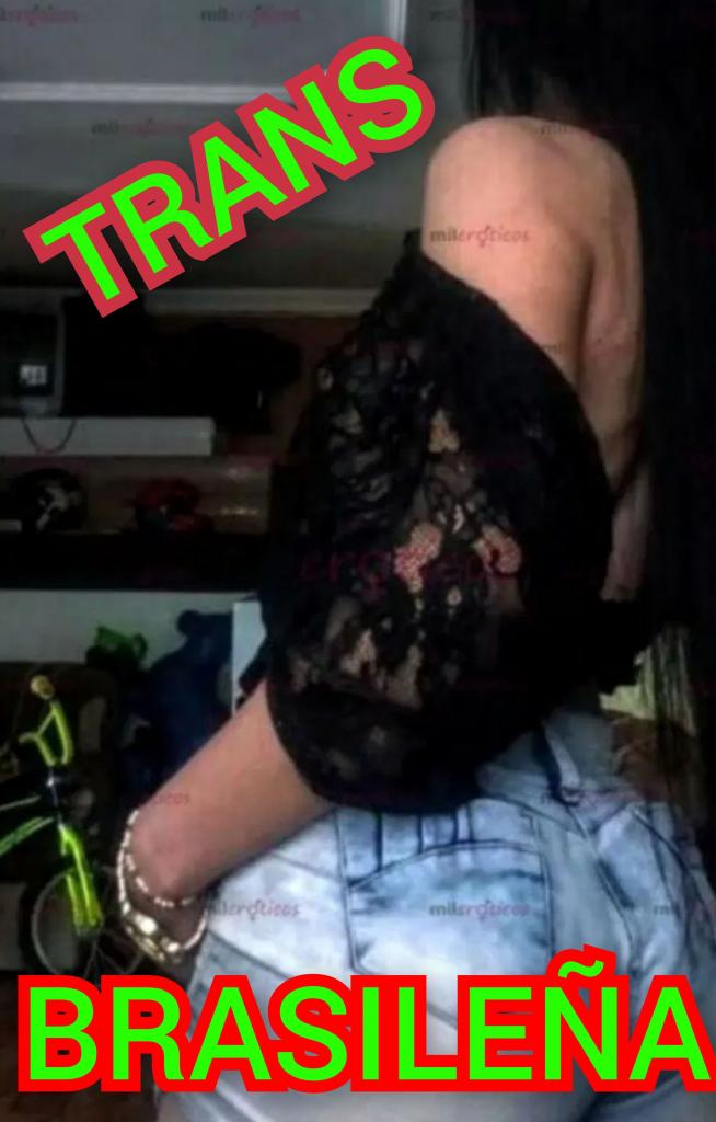 Transexual en Castellón: 