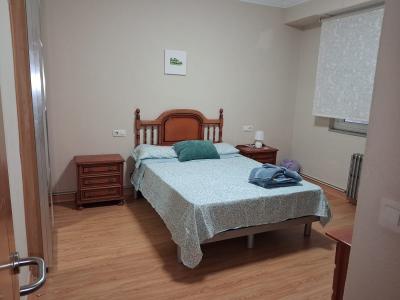 604298747: Chica busca chico en Lugo